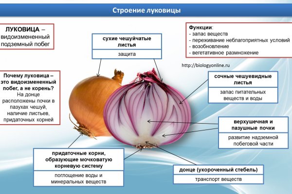 Как зайти на кракен через тор