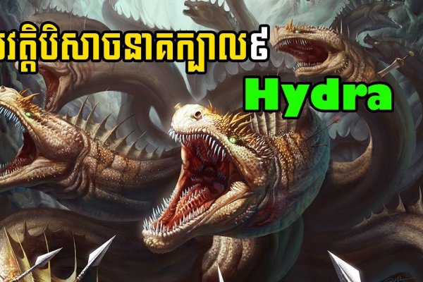 Сайт кракена актуальный