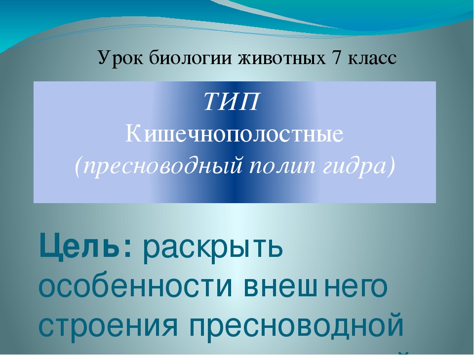 Кракен маркетплейс что продают